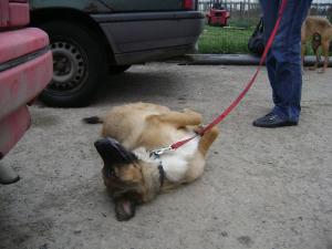 Прикачена снимка
