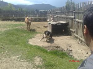 Прикачена снимка