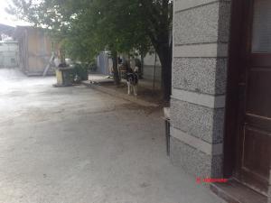 Прикачена снимка
