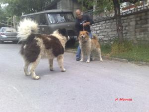 Прикачена снимка