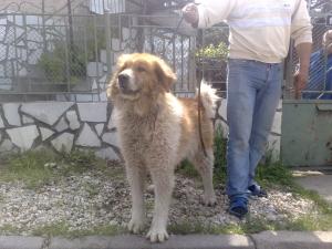 Прикачена снимка