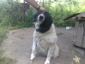 Прикачена снимка