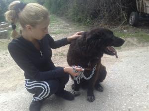 Прикачена снимка