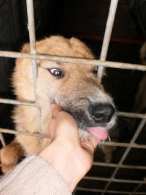 Прикачена снимка