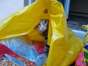 Прикачена снимка