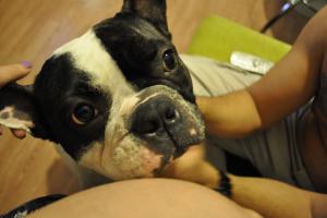 Прикачена снимка