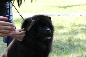Прикачена снимка