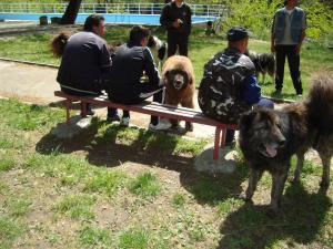 Прикачена снимка