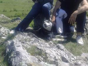 Прикачена снимка