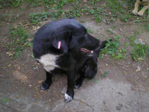 Прикачена снимка