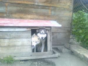 Прикачена снимка