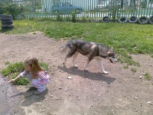 Прикачена снимка