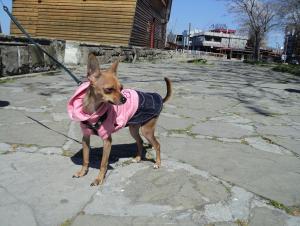 Прикачена снимка