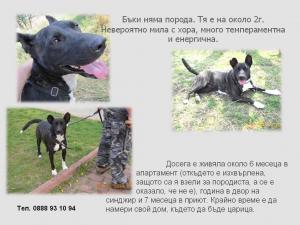Прикачена снимка