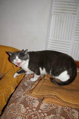 Прикачена снимка