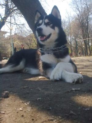 Прикачена снимка