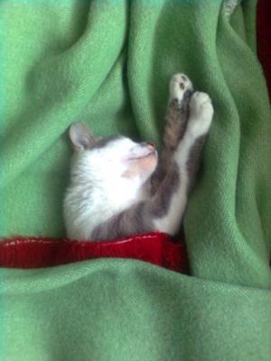 Прикачена снимка