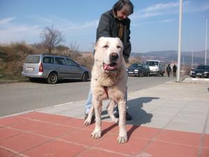 Прикачена снимка