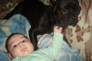 Прикачена снимка