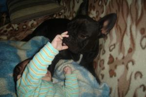 Прикачена снимка