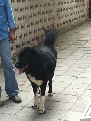 Прикачена снимка