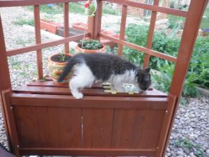 Прикачена снимка
