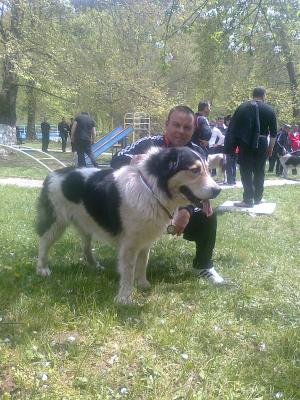 Прикачена снимка