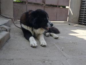 Прикачена снимка