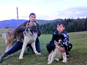 Прикачена снимка