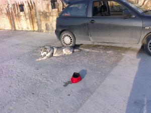 Прикачена снимка