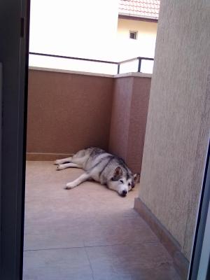 Прикачена снимка