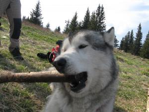 Прикачена снимка