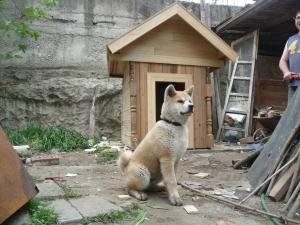 Прикачена снимка