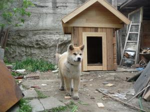 Прикачена снимка
