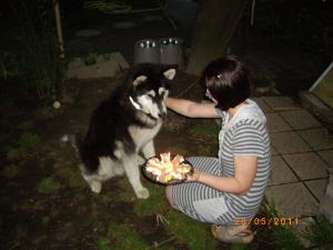 Прикачена снимка