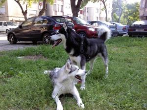 Прикачена снимка