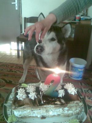 Прикачена снимка