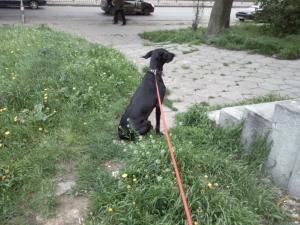 Прикачена снимка