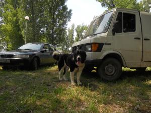 Прикачена снимка