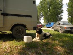 Прикачена снимка