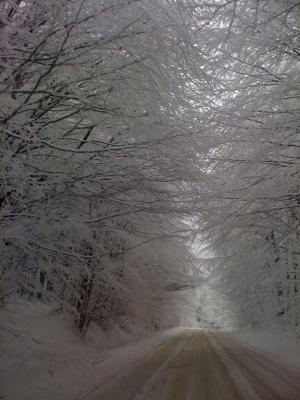 Прикачена снимка