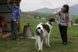 Прикачена снимка