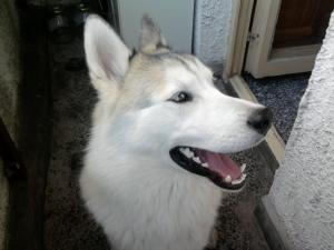 Прикачена снимка