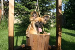 Прикачена снимка