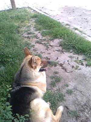 Прикачена снимка