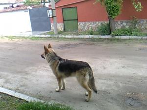 Прикачена снимка
