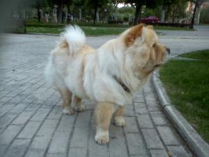 Прикачена снимка