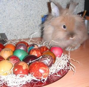 Прикачена снимка