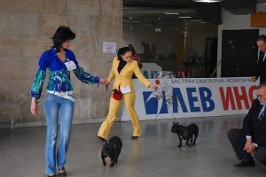 Прикачена снимка
