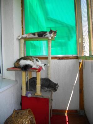 Прикачена снимка